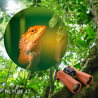 NL PURE x42 Burnt-Orange